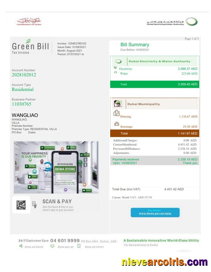 United Arab Emirates Dubai Green utility bill